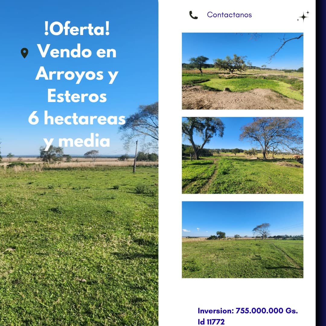 VENDO CAMPO DE 6,5 Ha. EN ARROYOS Y ESTEROS – ZONA ALTA