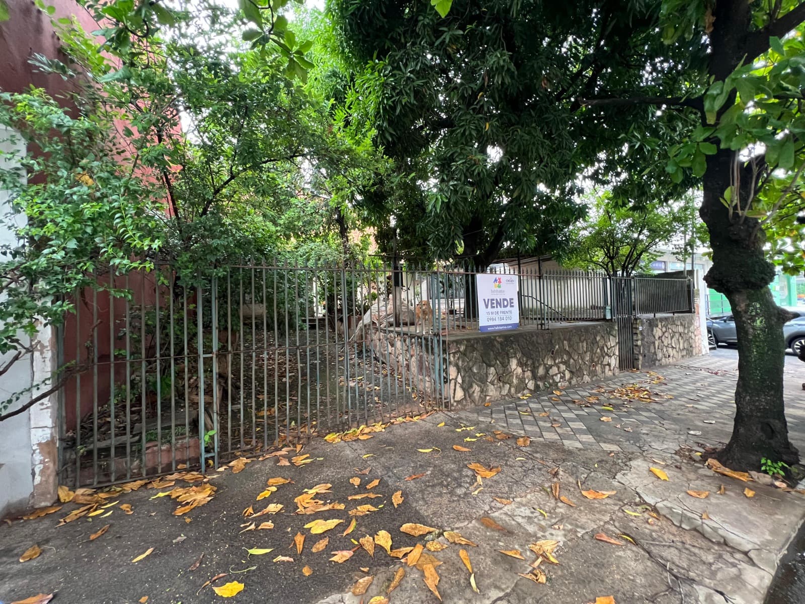 VENDO PROPIEDAD SOBRE JULIO CORREA, ZONA DE ALTO TRANSITO. – 2