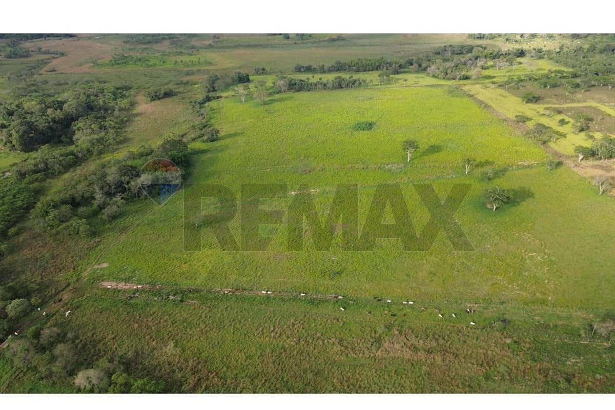 Estancia Ramonita de 368 hás. en Ybycuí – 3