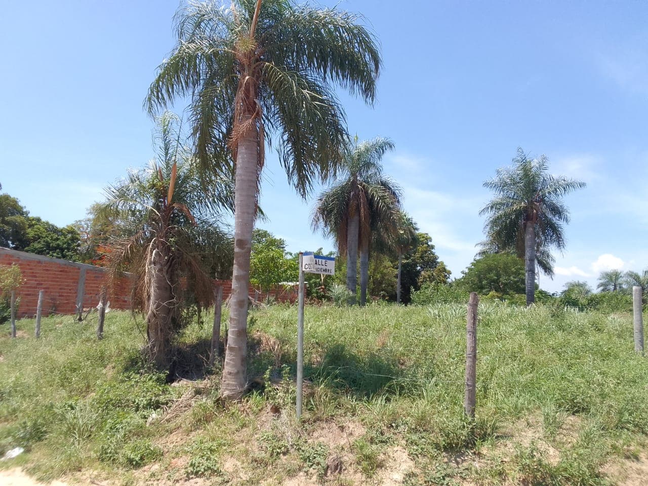 VENDO TERRENO SOBRE EL RIO PARAGUAY – 2