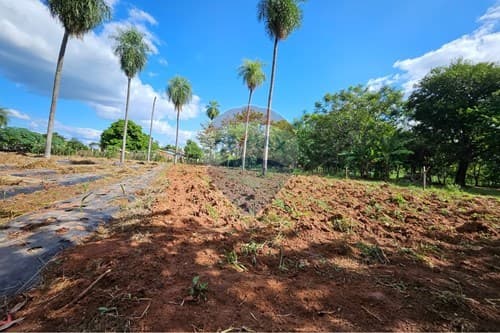 Terreno de 1 Hectarea en Ita – 3