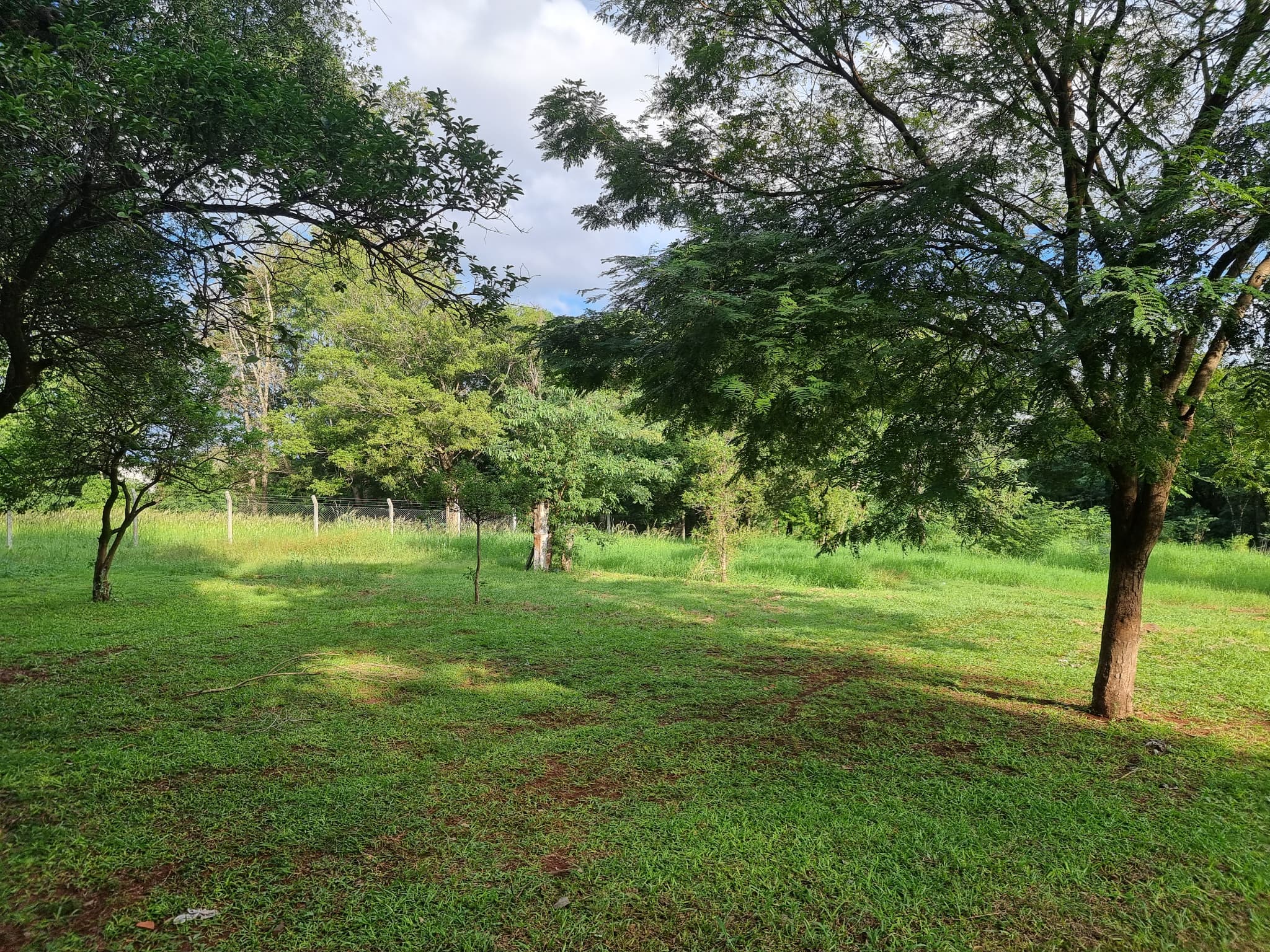 .VENDO 4.336M2 A 1 CUADRA DE LA AVDA BENITEZ GAMARRA, BARRIO SAN ALFREDO!! – 3