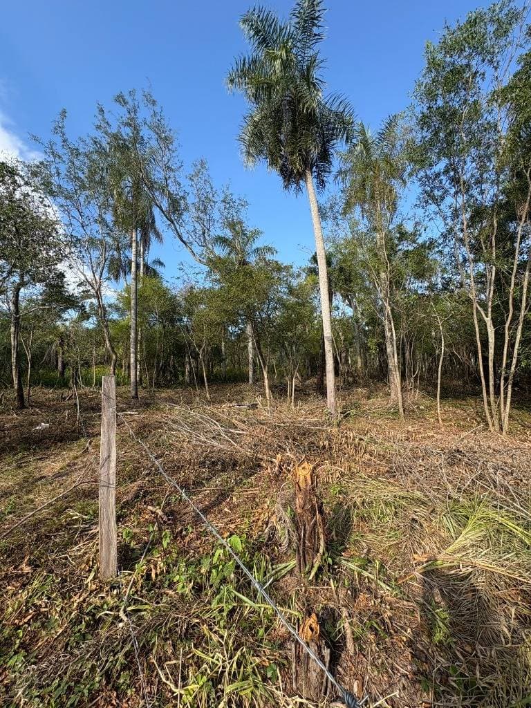 Terrenos en Zona Anfiteatro – San Bernardino. Lote 20 y Lote 21 – 3
