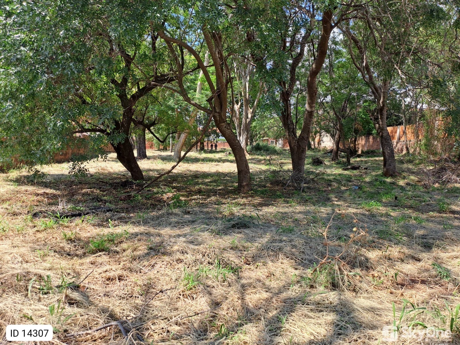 Terreno en Venta en Villa Elisa para Desarrollos e inversiones – 3