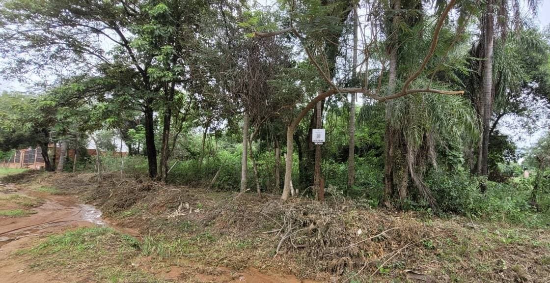 Terreno en San Bernardino zona Ciervo Cua – 3