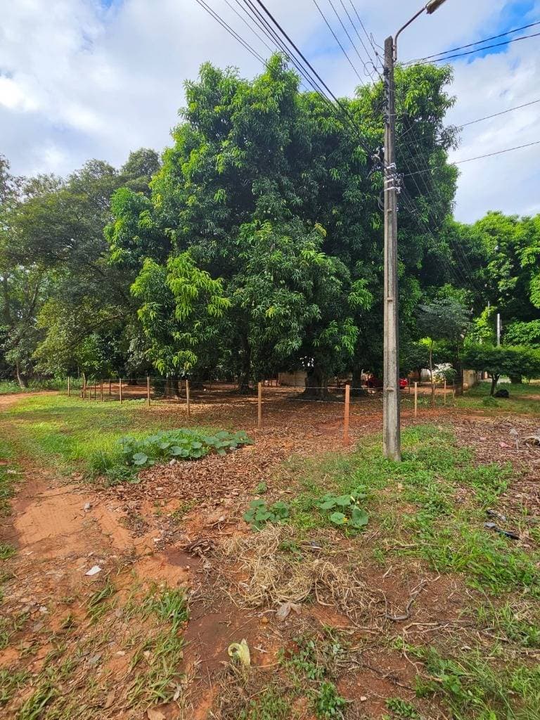 VENDO TERRENO EN LOMA MERLO - LUQUE – 3