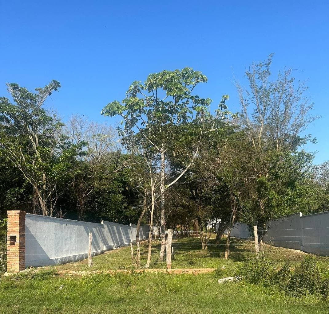 VENDO TERRENO EN SAN BERNARDINO – 3