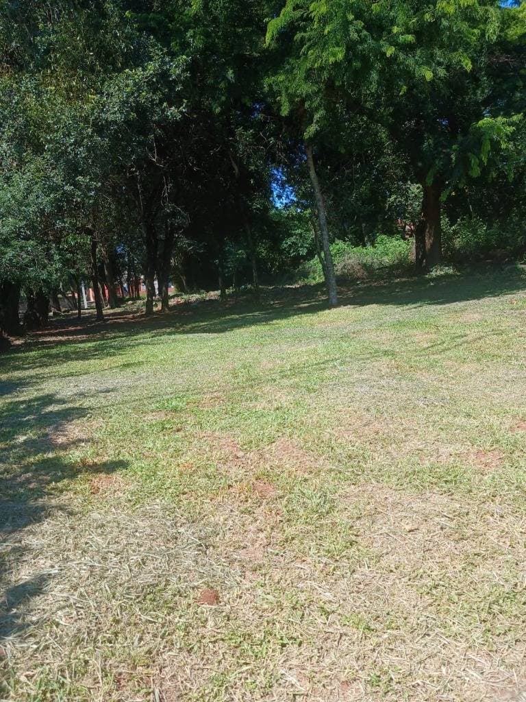 VENDO TERRENO LAURELTY - EN SAN LORENZO – 3