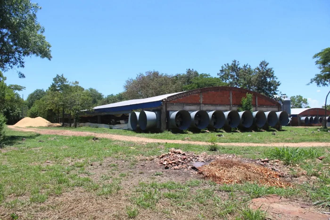 Hermosa Granja Avicola en Villeta con 2 Galpones para producción de carne – 2