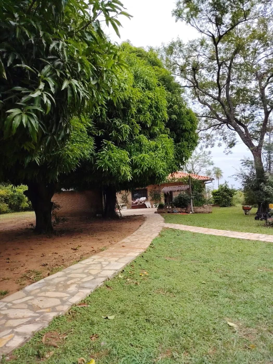Vendo amplia quinta en Nueva Colombia – 3
