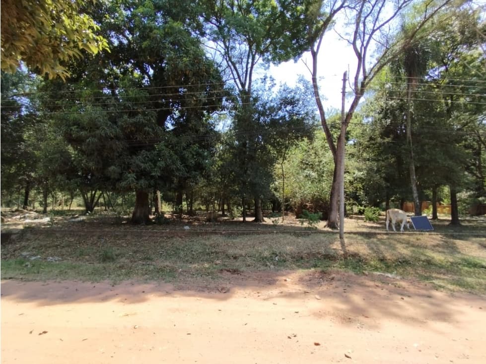TERRENO ÑUATI - PARAGUARÍ – 2