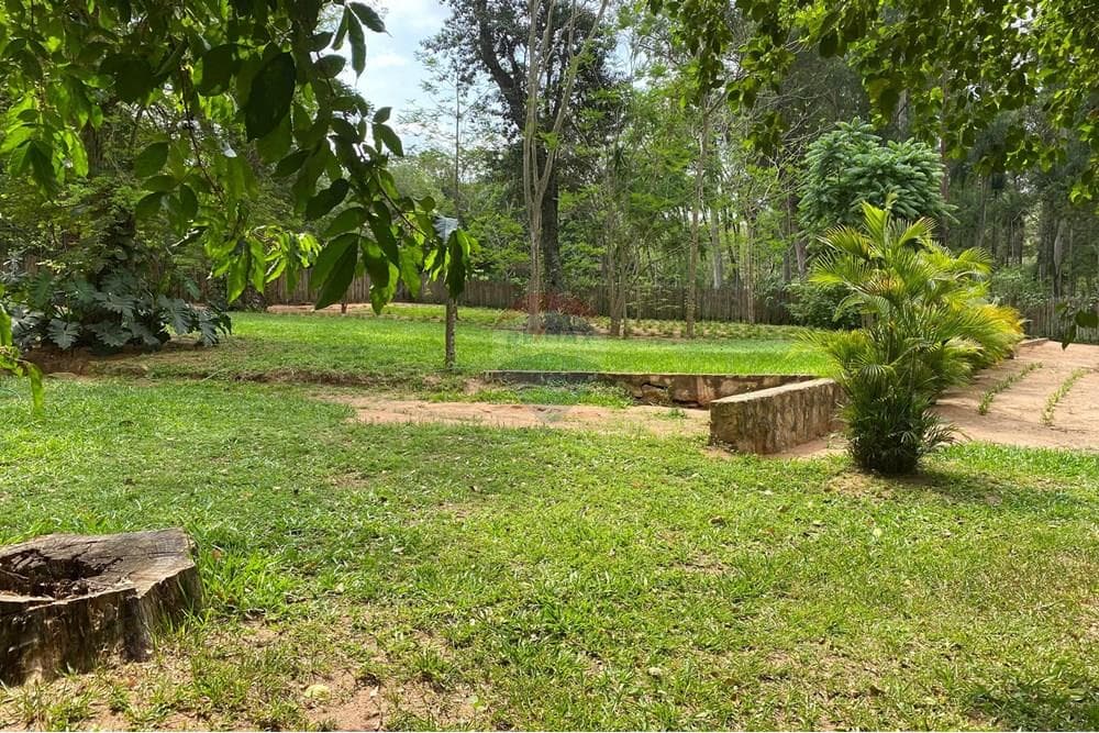 PROPIEDAD 4,238 M2 ZONA ANFITEATRO SAN BERNARDINO – 2