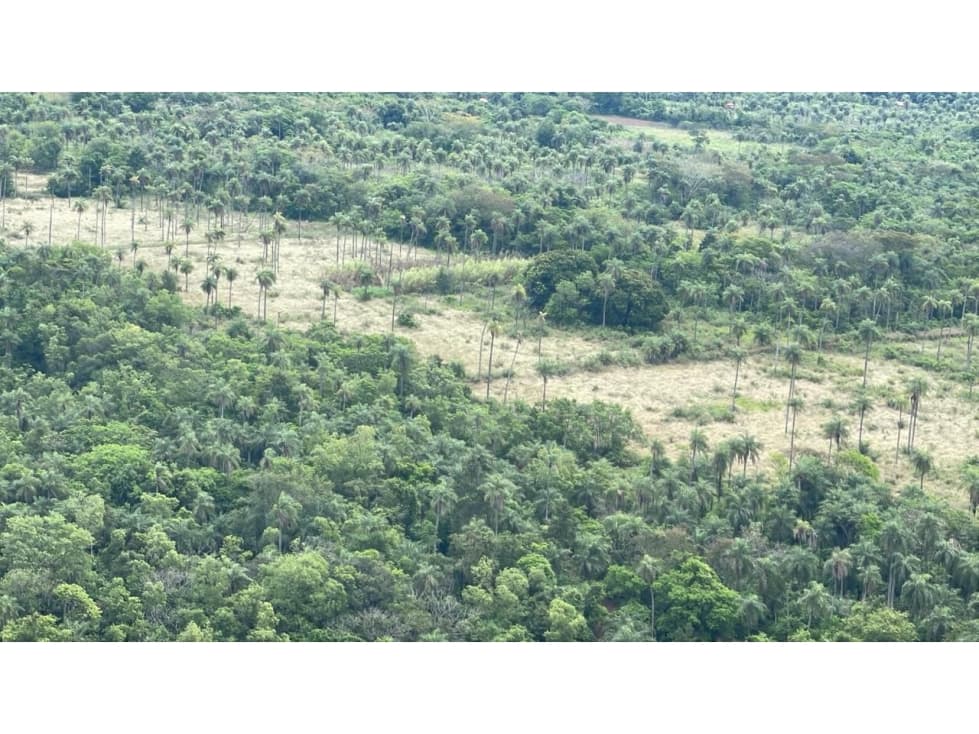 Vendo 14,6 hectáreas en Caacupé con vista al Cerro Kavaju