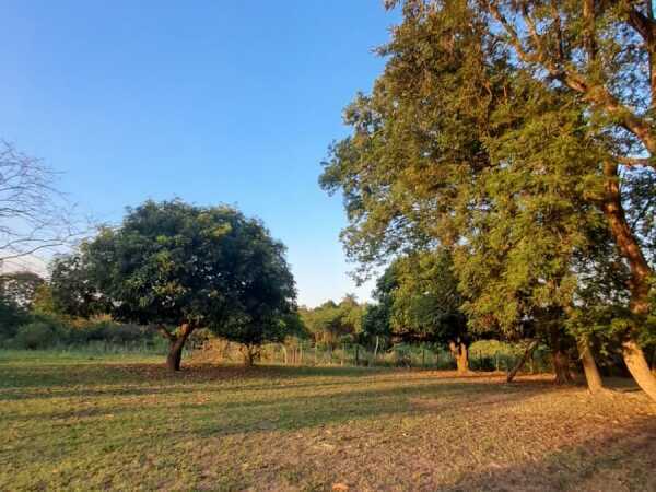 EN VENTA TERRENO PARA DESARROLLADORES!  EN SAN BERNARDINO – 3