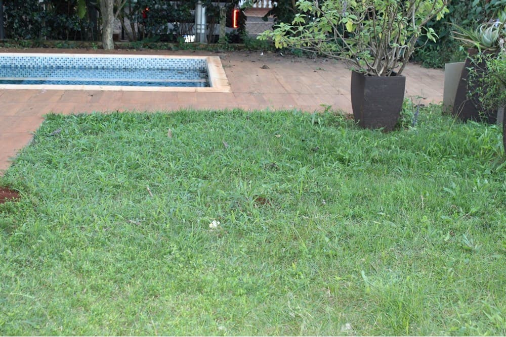 Residencia en Venta – Km 10 Monday, CDE – 3