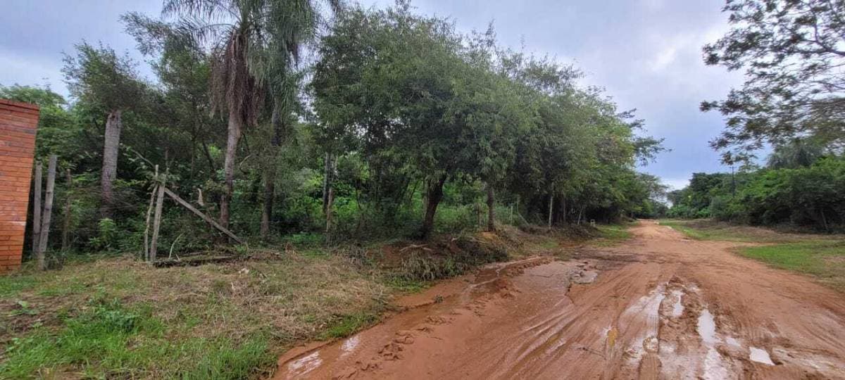 Terreno en San Bernardino zona Ciervo Cua