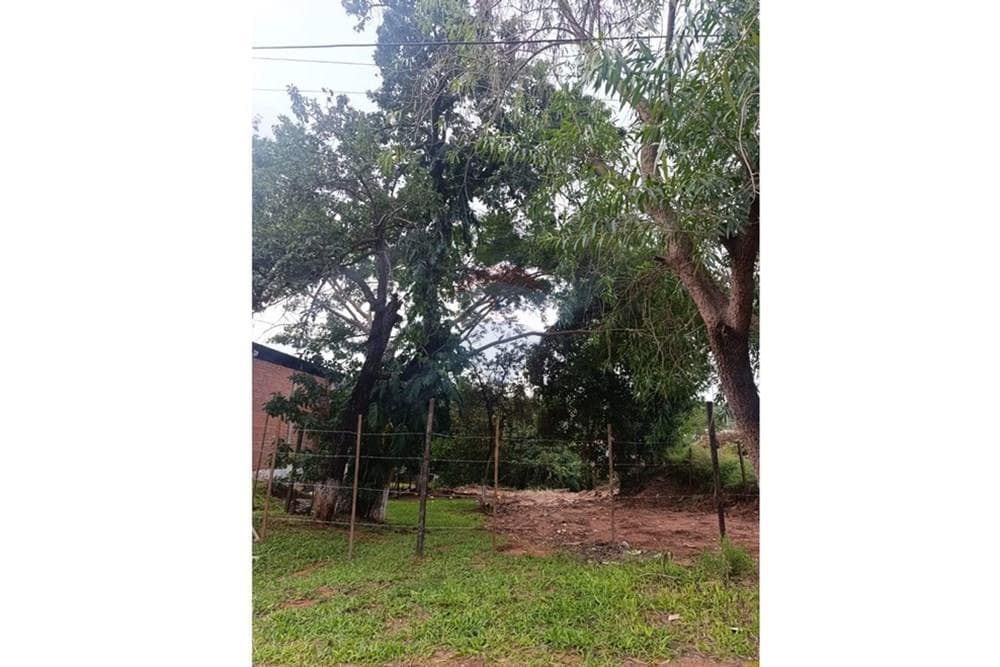 Vendo Terreno en San Lorenzo Espíritu Santo – 2