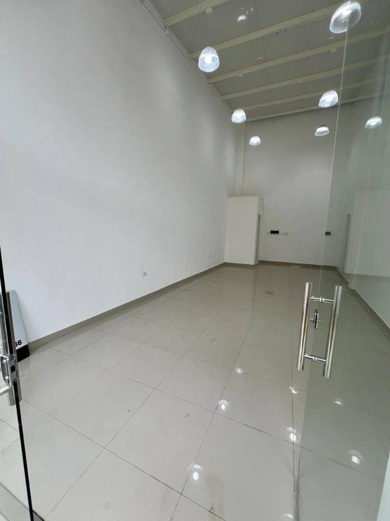 LOCAL COMERCIAL EN ALQUILER – FERNANDO DE LA MORA . ID 45437