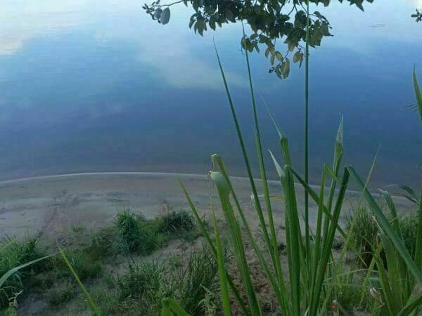 TERRENO EN VENTA – 70 HAS SOBRE EL RÍO PARANÁ DISTRITO CAPITÁN MEZA – ITAPÚA – 3