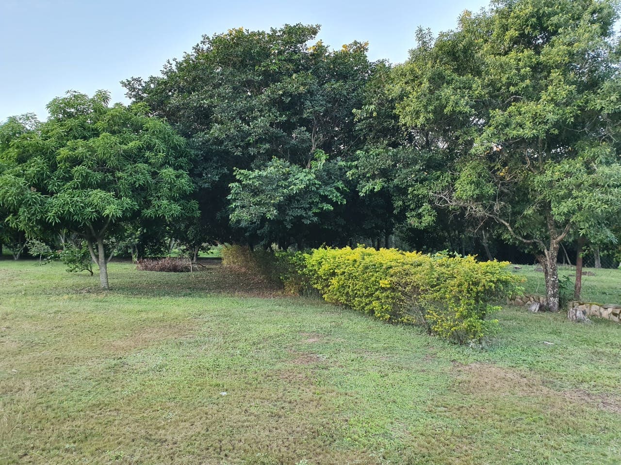 LOMA GRANDE: Exclusivo Terreno de 1.518 m² con Potencial Ilimitado. – 3