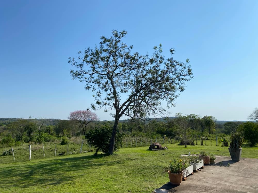 Campo De 28 Hectáreas En Sapucai Con Casa Renovada, Arroyo Y Vistas A Los Cerros – 2