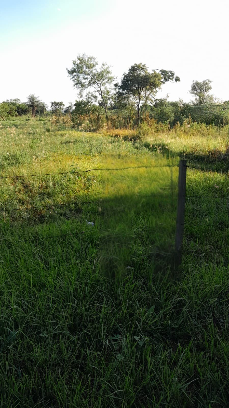 VENDO TERRENO EN SAN IGNACIO MISIONES – 2