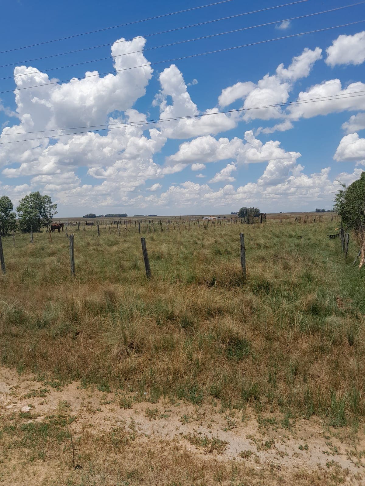 VENDO TERRENO EN VILLA FLORIDA, MISIONES