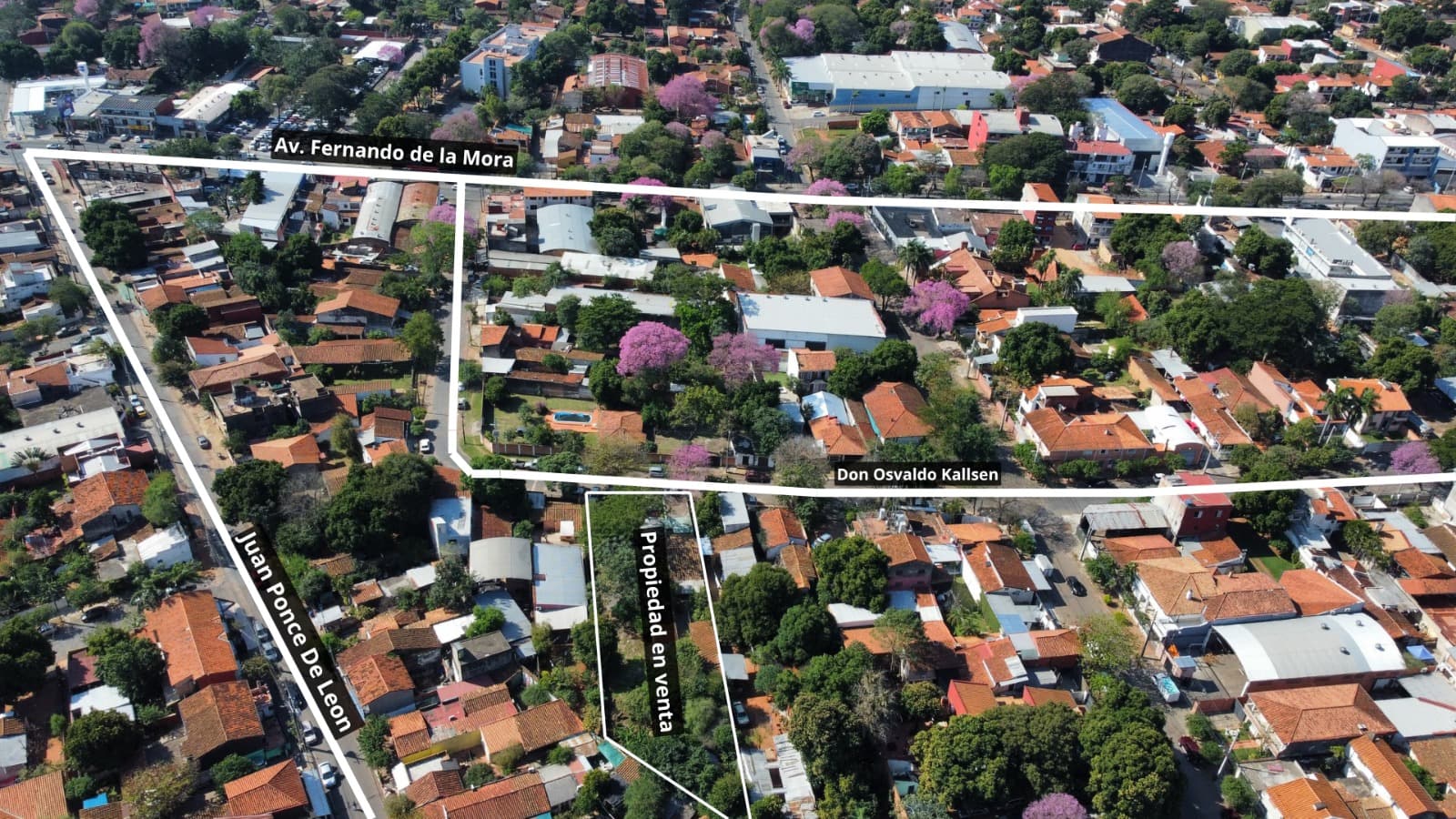 Oportunidad única En Vista Alegre – Asunción! Remato Casa Terreno A 720millones – 3