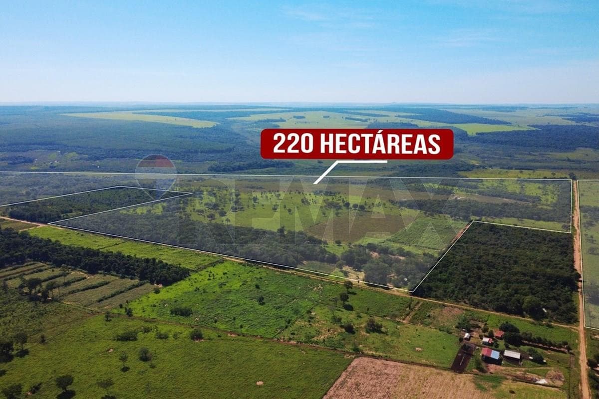 VENDO CAMPO EN SAN PEDRO SAN ESTANISLAO