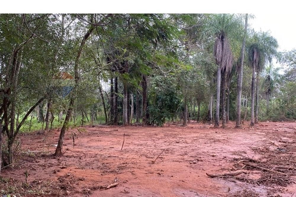 Vendo Terreno en esquina Luque 403m2 – 3