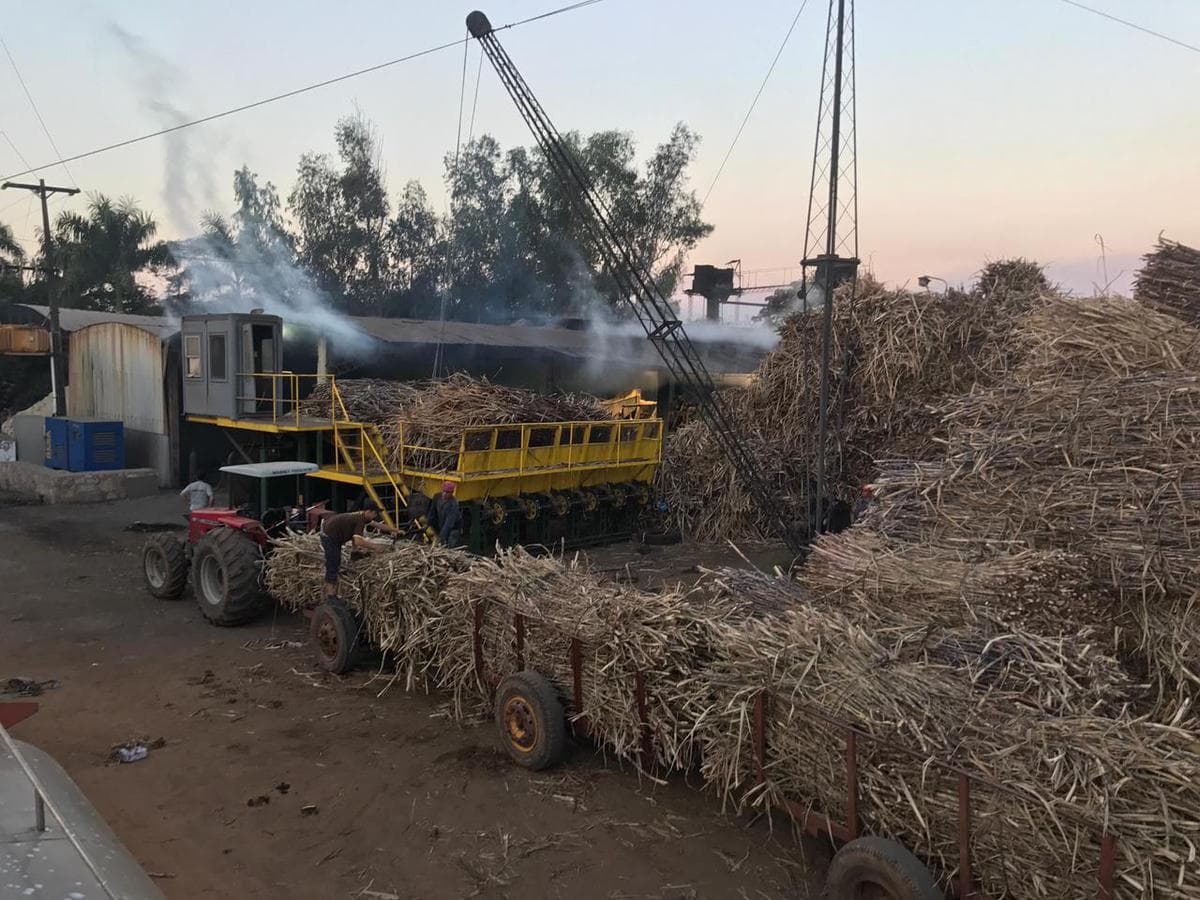 Vendo Fabrica De 91 Hectareas En Arroyos y Esteros – 3