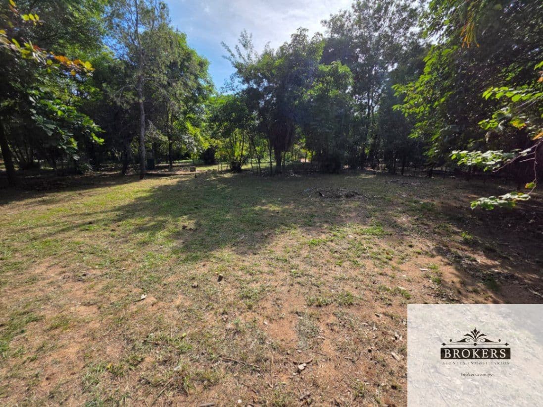 Vendo Amplio Terreno De 3.200 m2. En La Ciudad De Limpio – 2