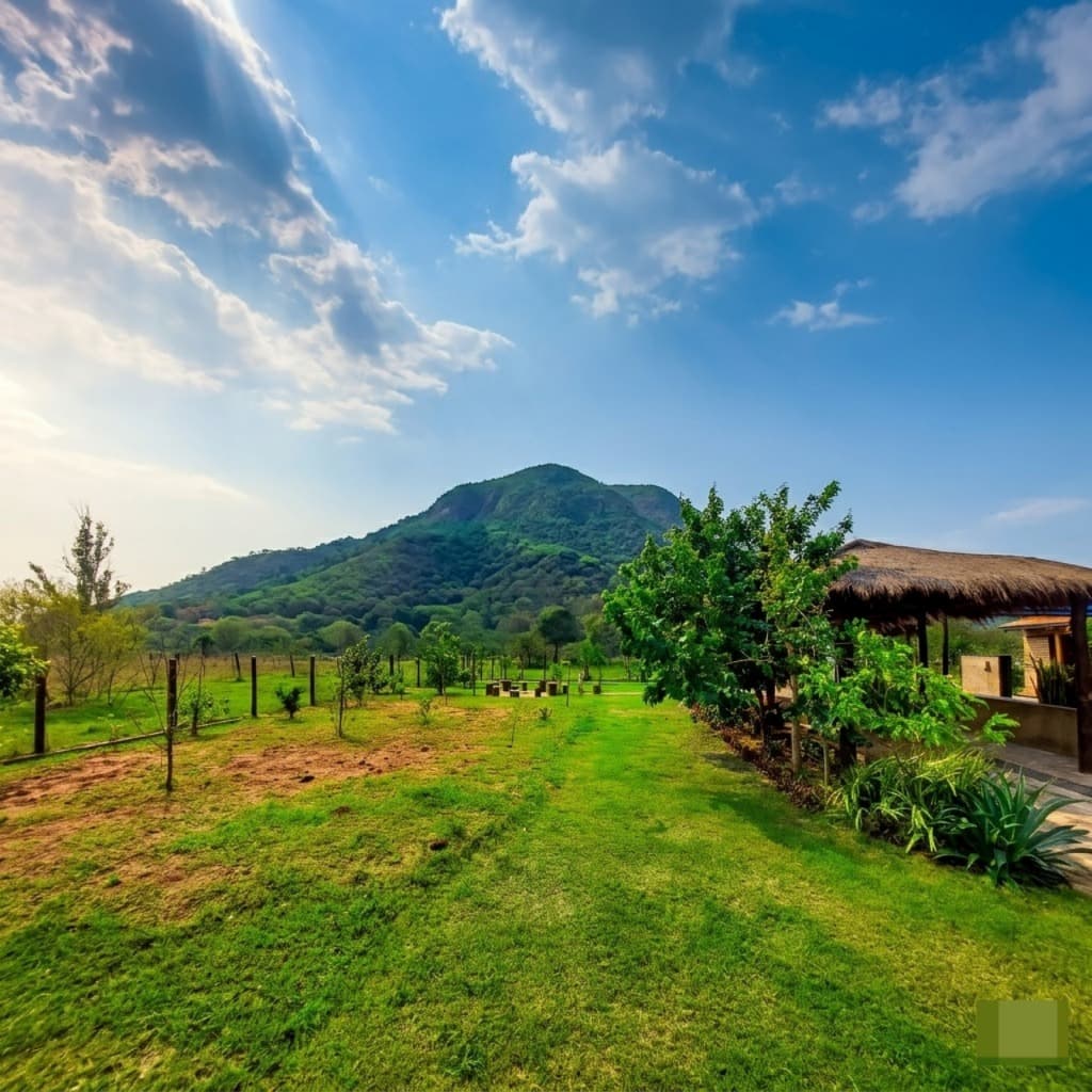 Ideal Para Inversionistas! Casa Quinta Con Renta – 2