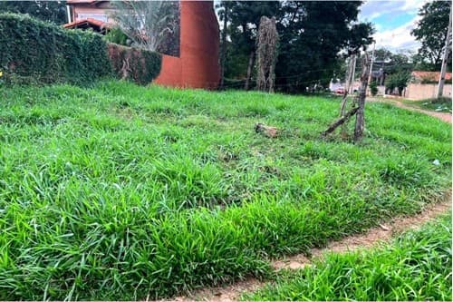Terreno-Venta-Primero de mayo, Isla Bogado, Luque, Central – 2