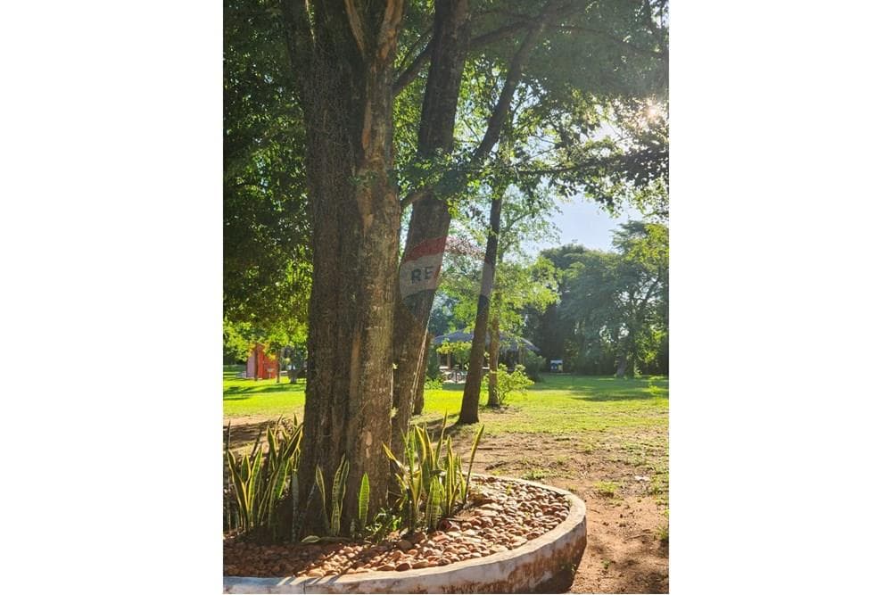 VENDO Casa Quinta en la ciudad de San Bernardino – 3
