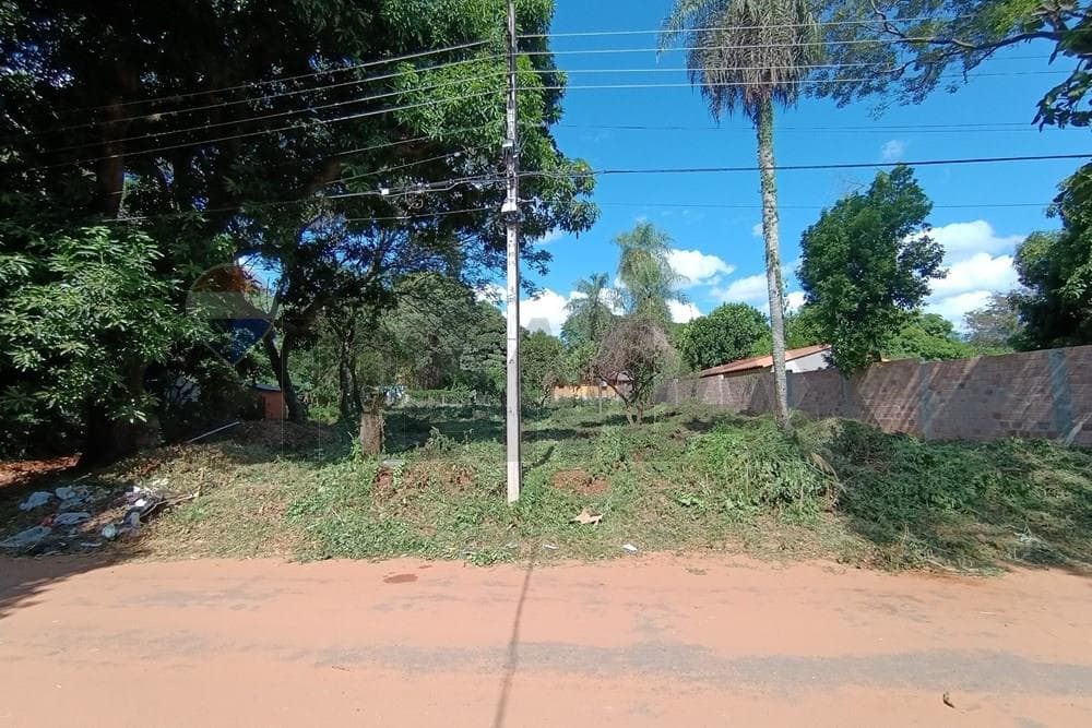 VENDO TERRENO EN ESQUINA SOBRE ASFALTO - CAPIATA – 2