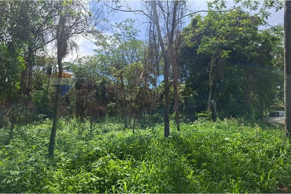 Terreno - Venta - San Bernardino, Paraguay, No lo pierdas! – 3