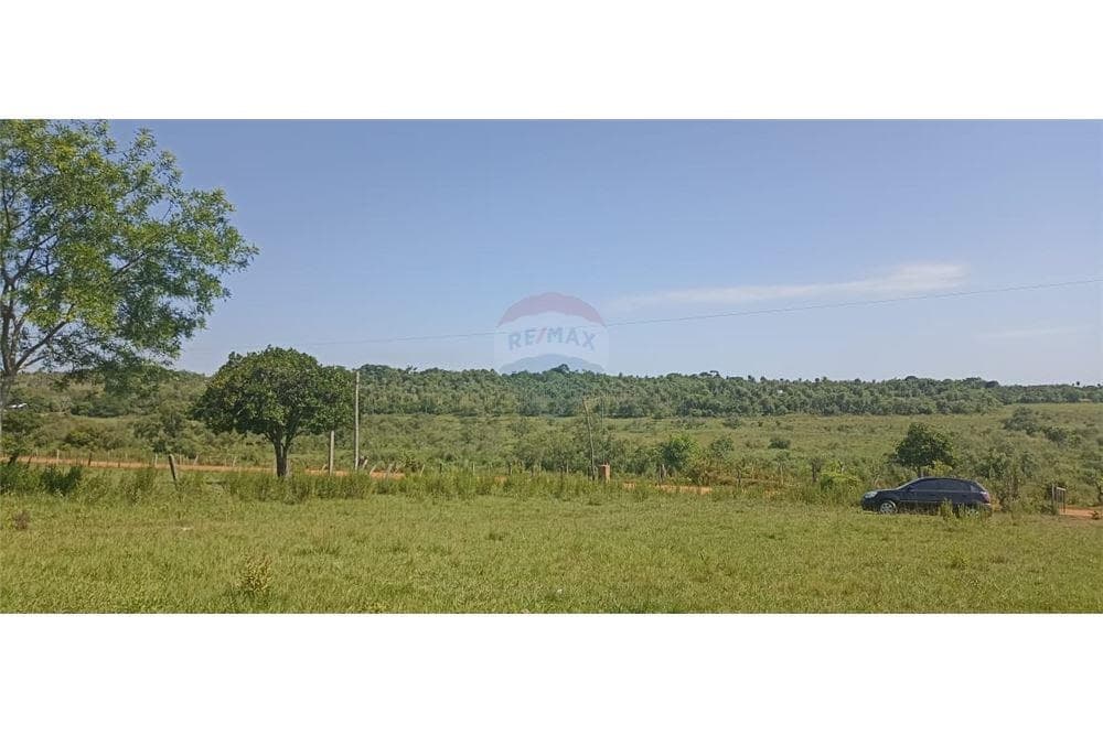 VENDO 37 HECTAREAS CON ARROYO EN VALENZUELA CORDILLERA – 3