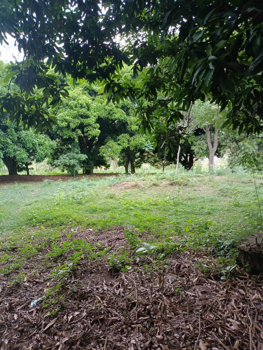 Vendo Terreno En Caacupe Cerro Real – 3
