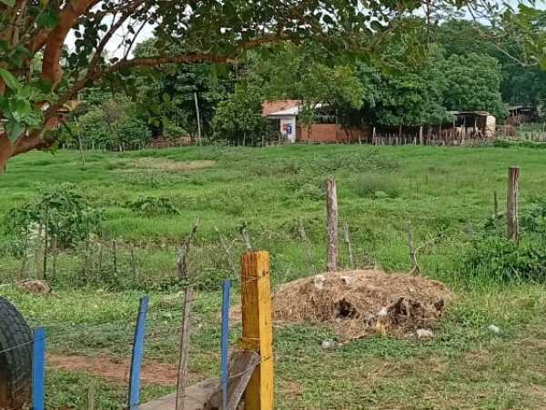 TERRENO DE 3 HECTÁREAS EN ZONA ESTRATÉGICA DE LUQUE – 2