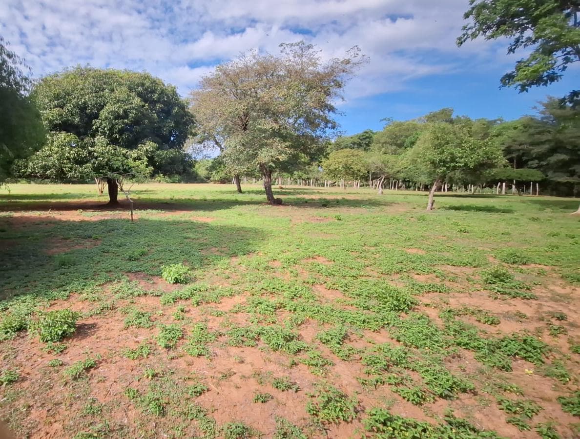 Amplio Terreno 3600 M2 Caacupe Especial Para Casa Quinta – 2