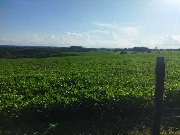 EN VENTA PROPIEDAD RURAL EN PRESIDENTE FRANCO