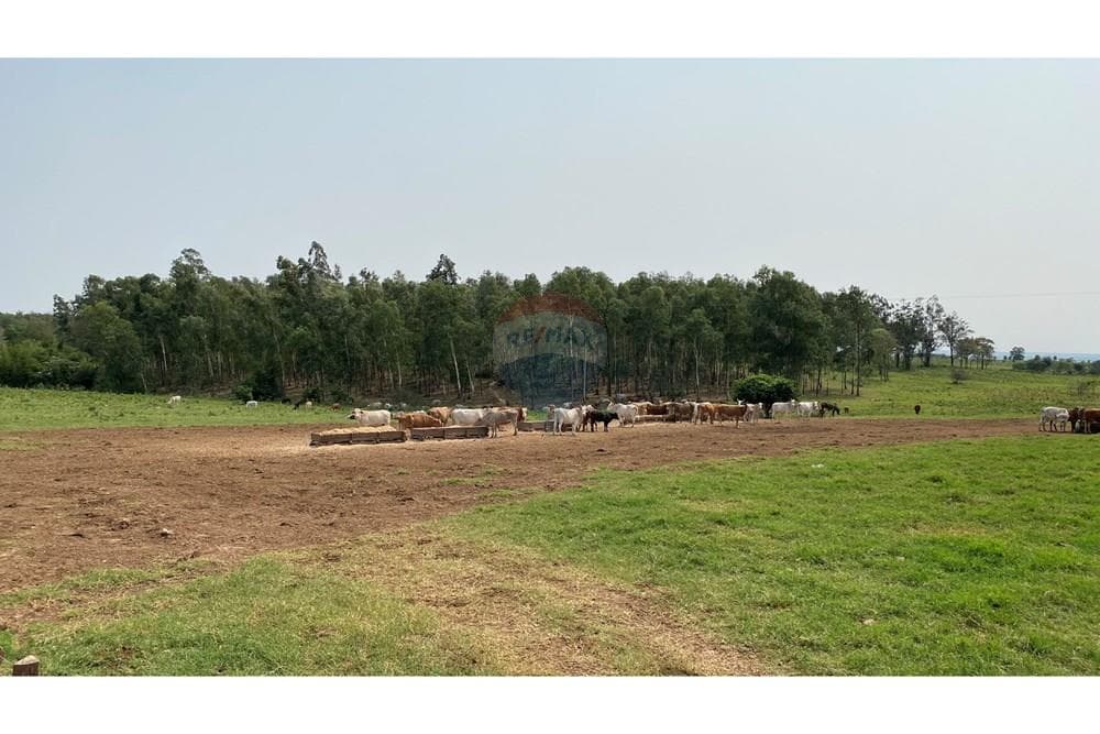 Vendo Estancia Trabajada de 10.019 Hectáreas, Caaguazú – 2