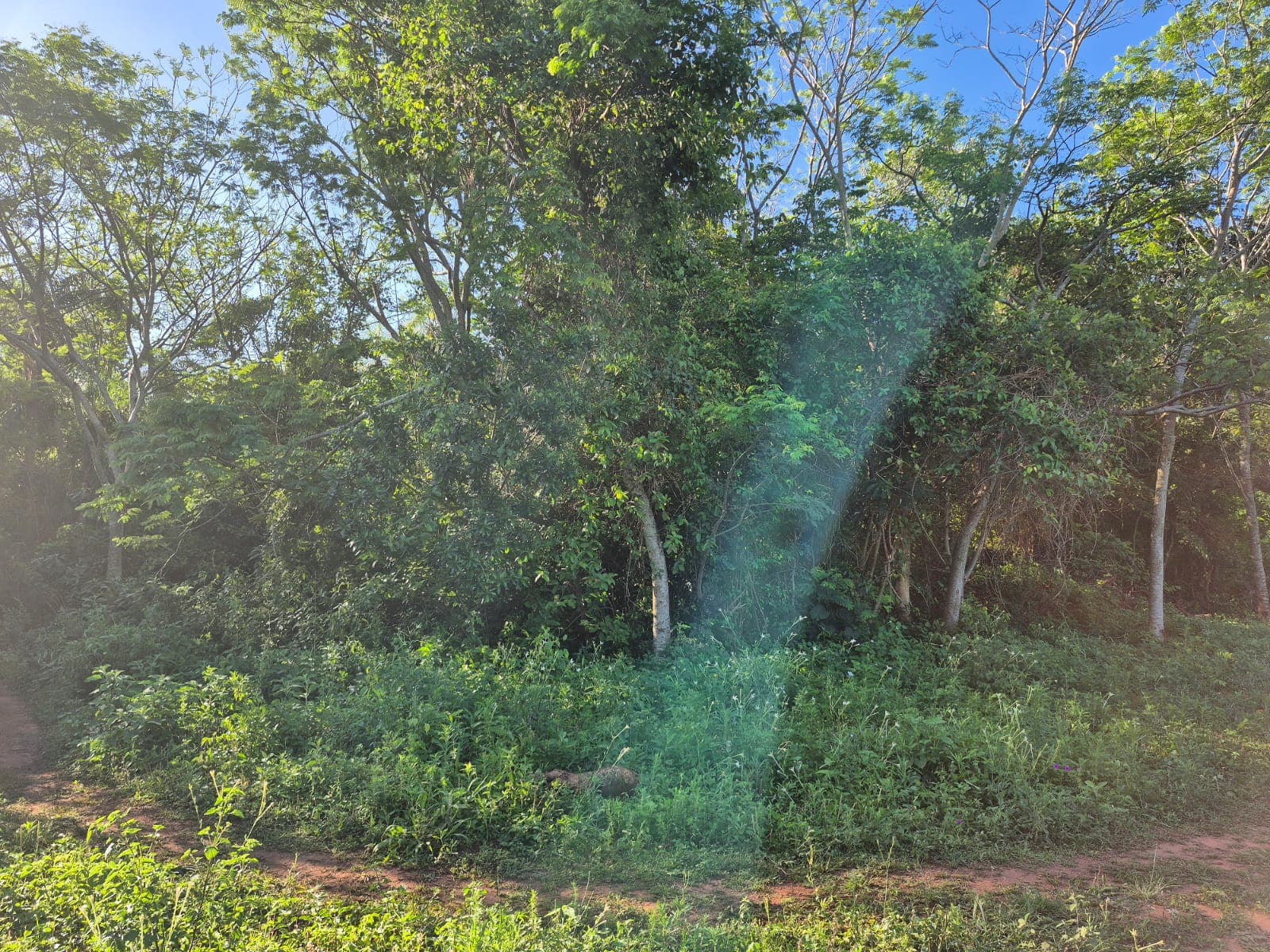 Venta - Terreno en Itauguá