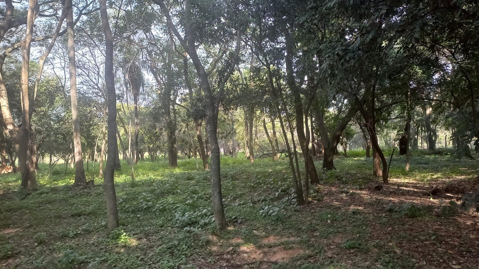 Vendo Terreno De 1191 M2 En Surubi´I Club De Campo Trato Directo Con Propietario – 2