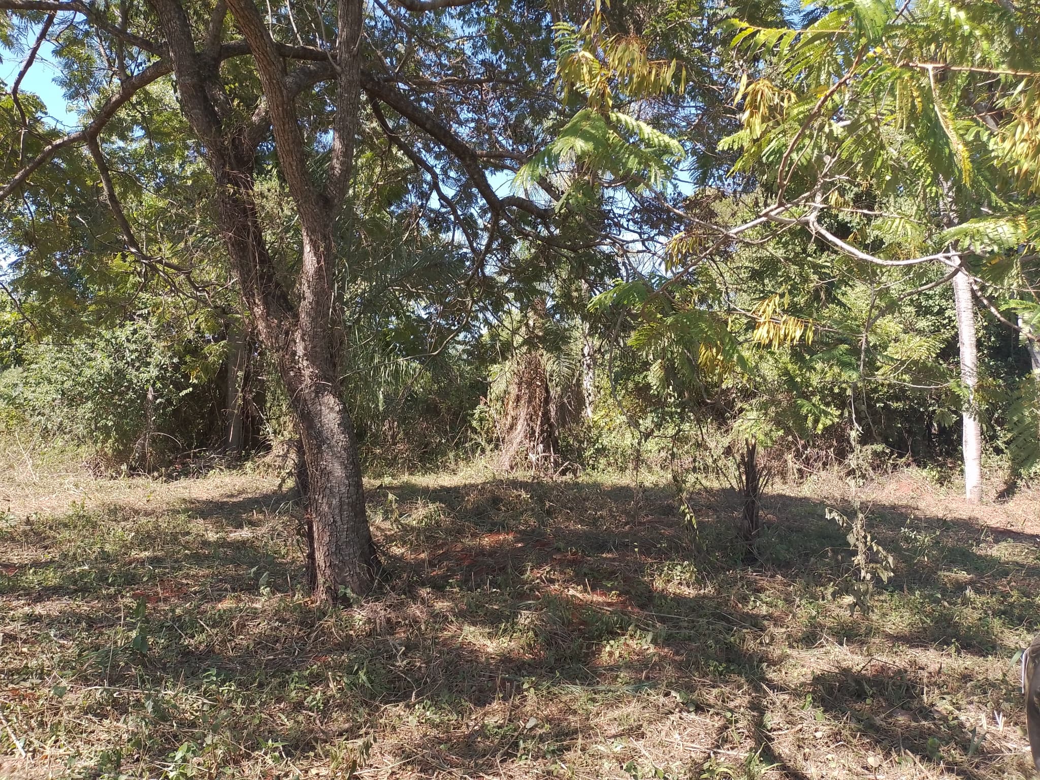 VENDIDO~Vendo Terreno En Costa Fleitas - Areguá. 2740 M2 – 3