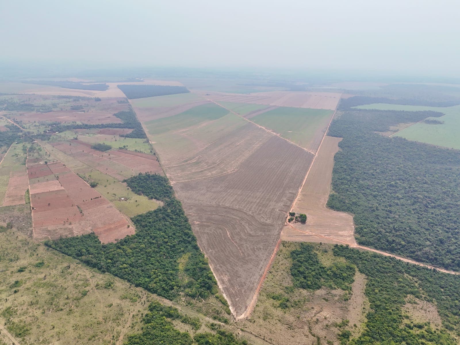 Gran oportunidad en el campo.