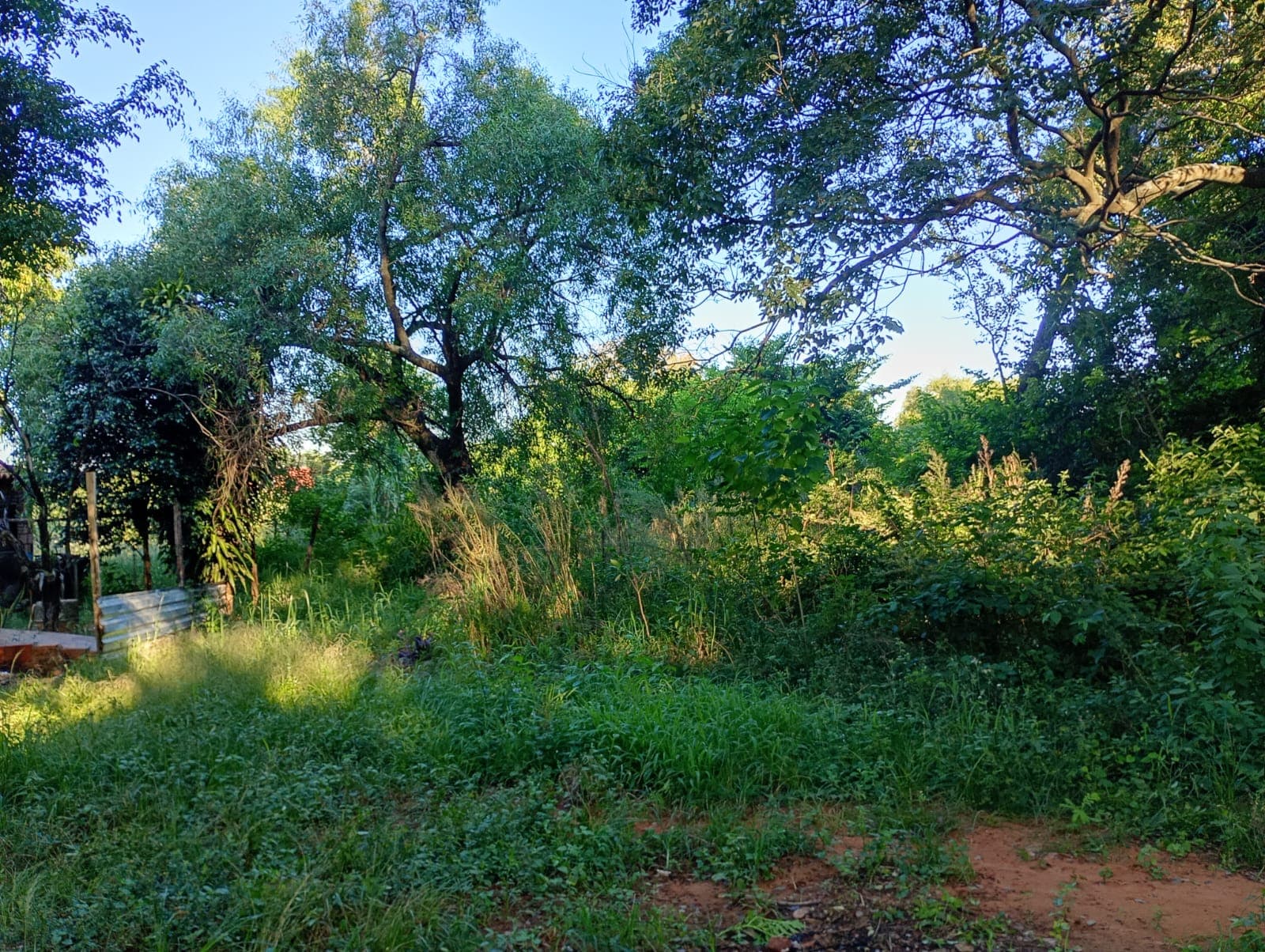 Vendo Terreno En Luque – 2