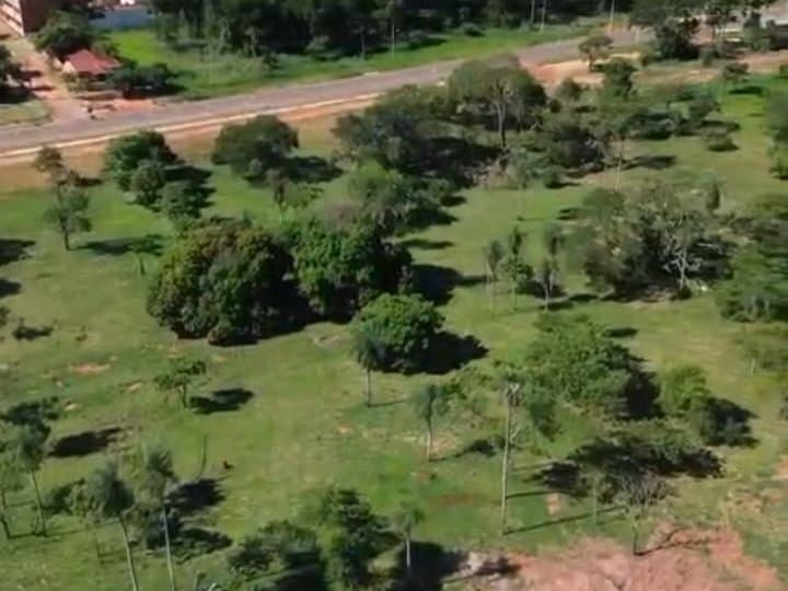 VENDO TERRENO DE 4 HECTAREAS EN HORQUETA – 3