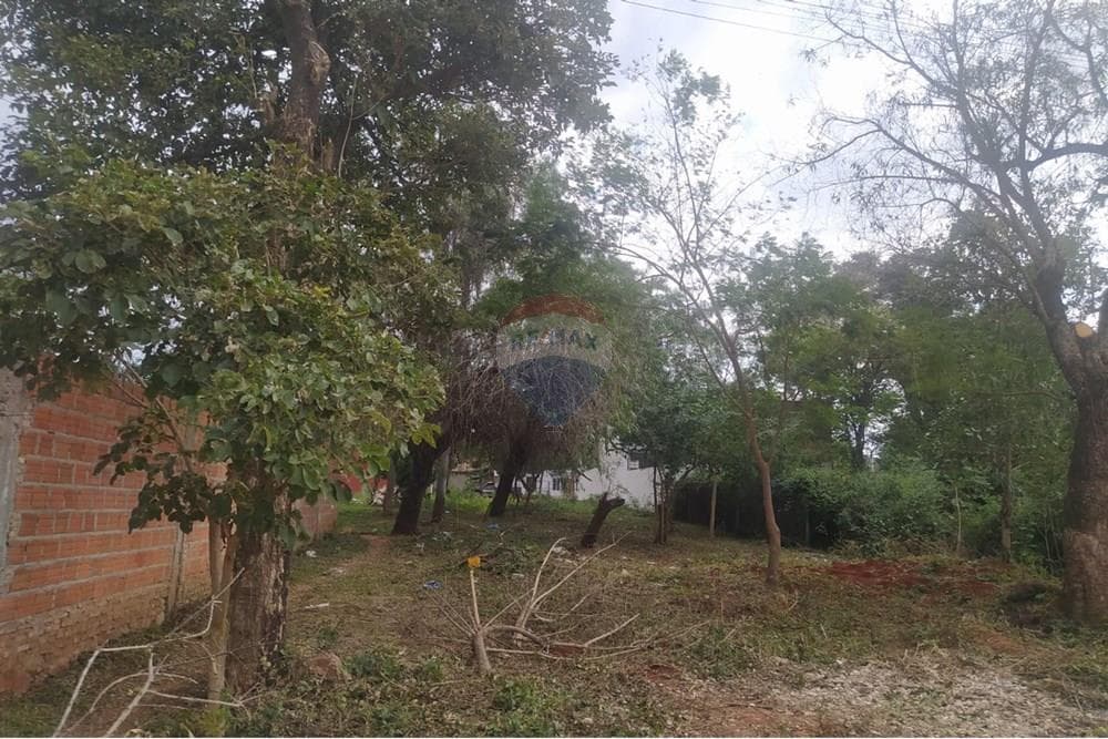 ¡venta Terreno En Loma Merlo, Luque!